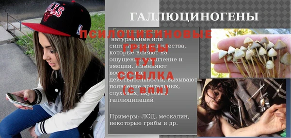 винт Михайлов