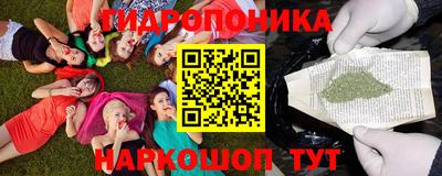 шишки Гусев